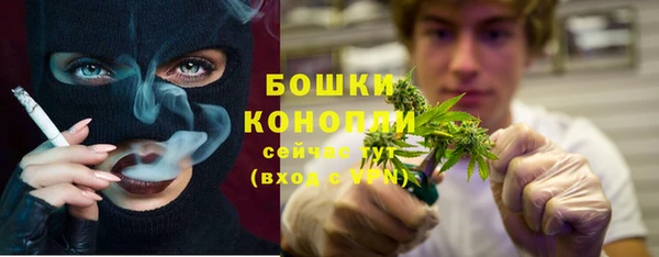 СК Медвежьегорск