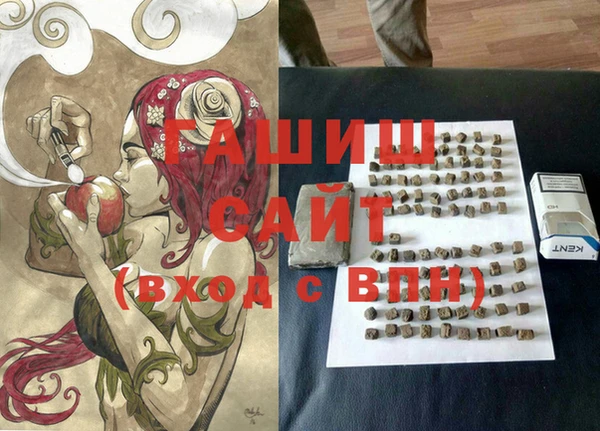 СК Медвежьегорск